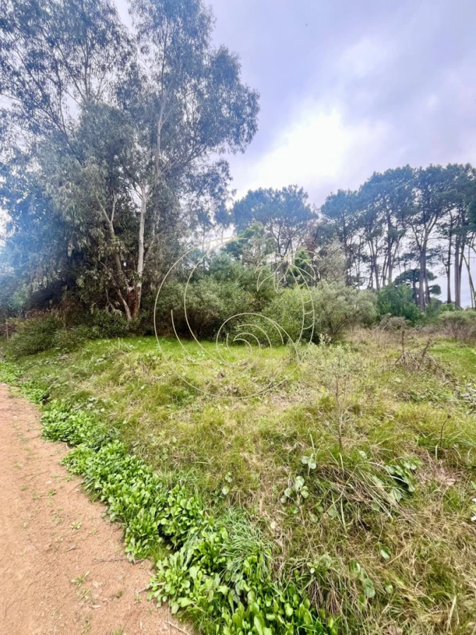 Terreno ID.21093216 - Excelente Terreno en venta en Barra Verde, La Barra, Punta del Este.