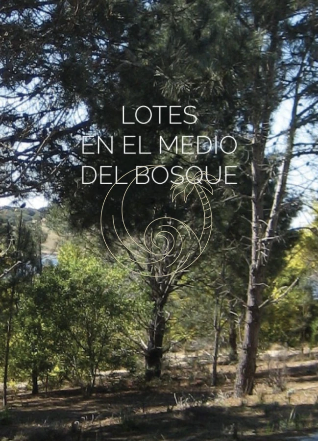 Terreno ID.21092699 - Terreno en Jose Ignacio, Laguna Escondida