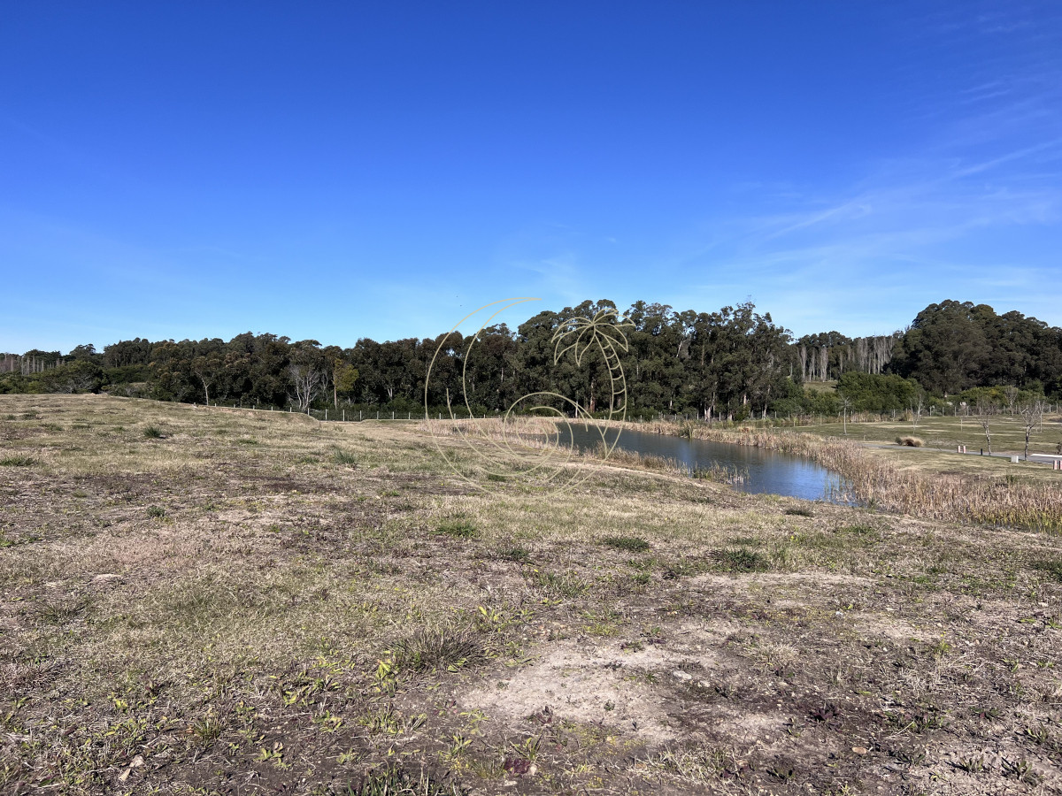 Terreno ID.21092996 - Terreno en venta Pueblo mio, elevado y con laguna propia