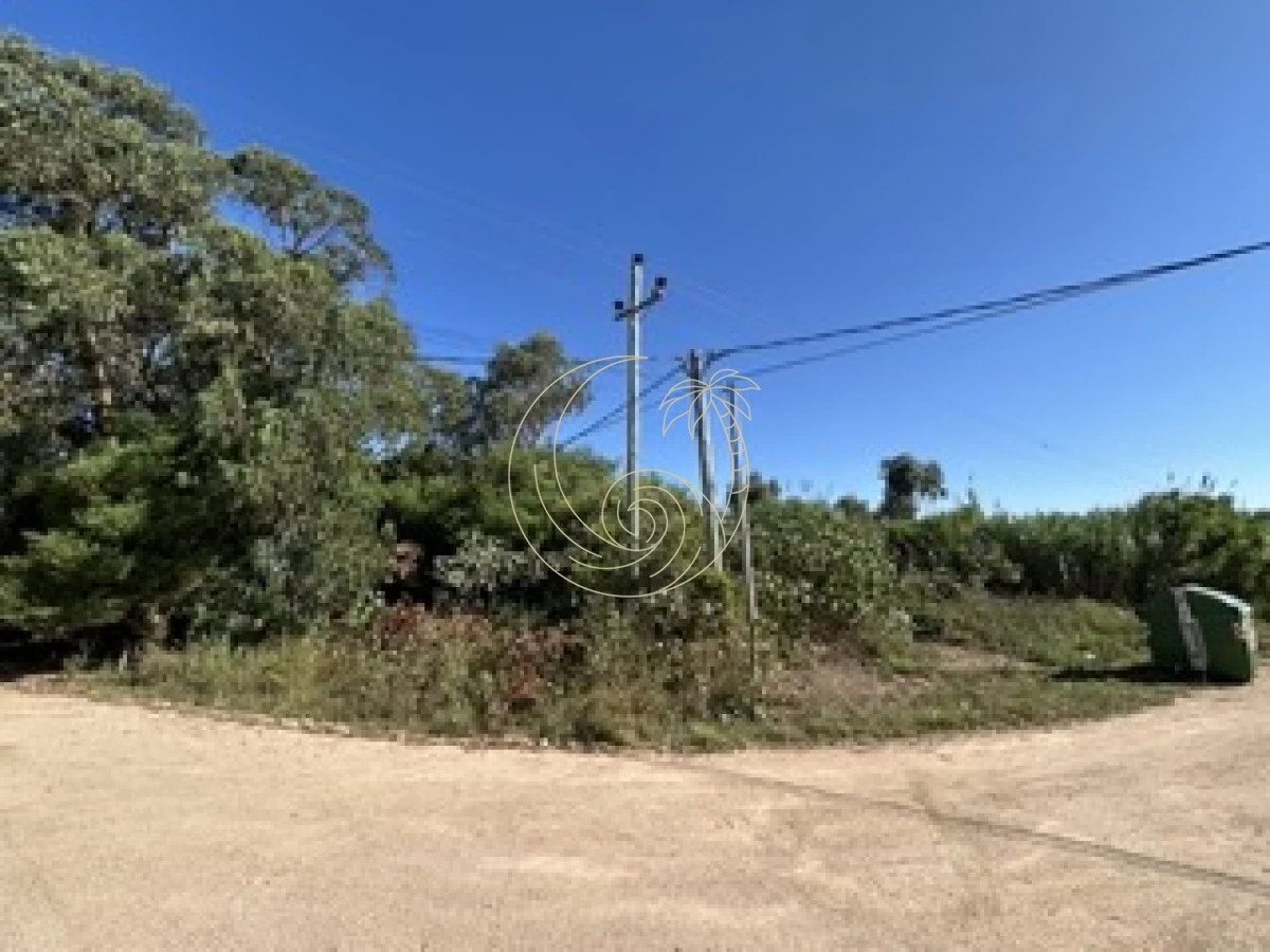 Terreno ID.21092790 - TERRENO EN VENTA, EL TESORO