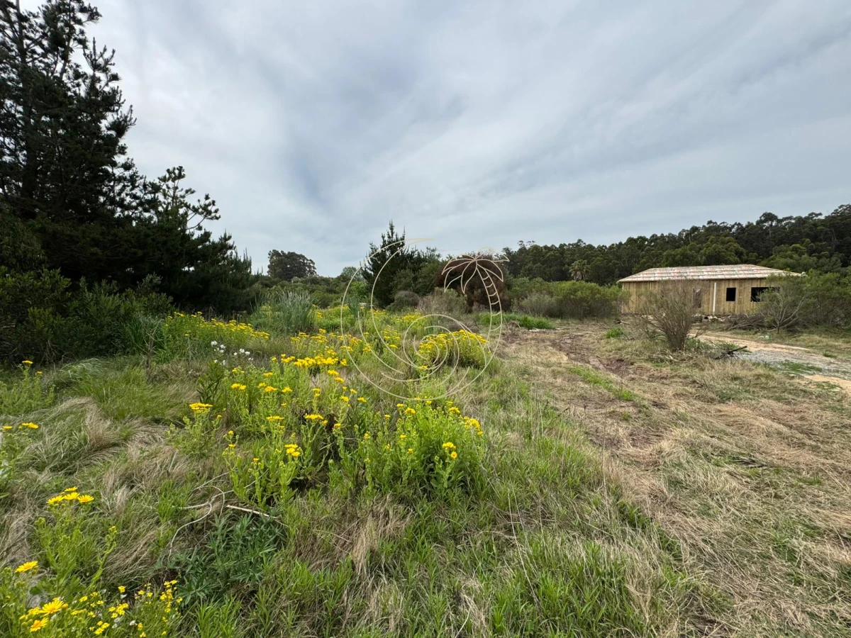 Terreno ID.21092732 - TERRENO DE 1500MTS EN SAN VICENTE