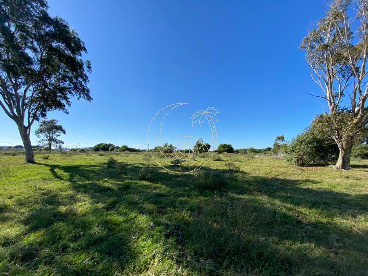 Terreno ID.21092378 - TERRENO 2.422m2 EN LA PALOMA, ROCHA 