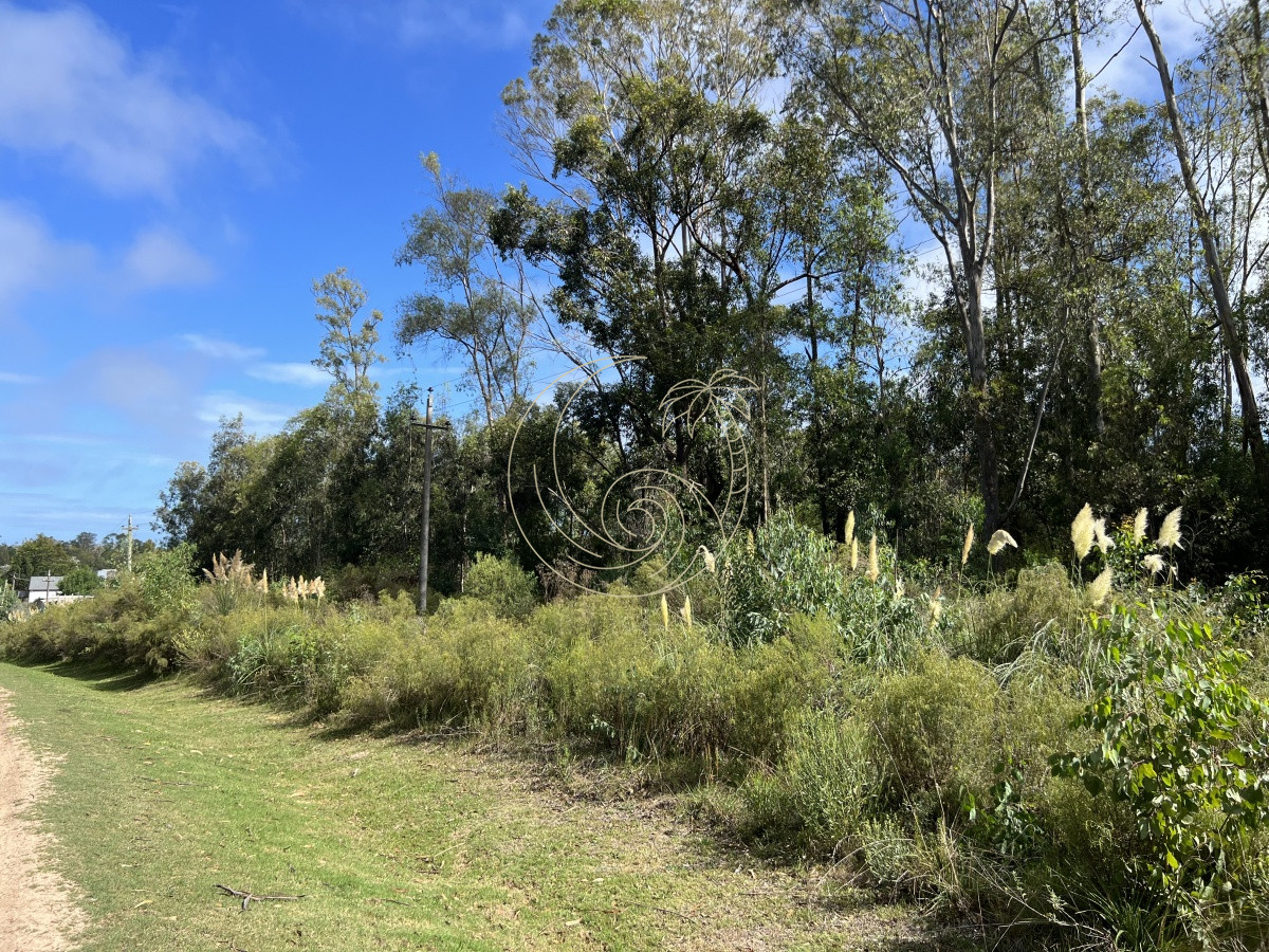 Terreno ID.21092255 - 8 Terrenos de 500 m2 aprox en El Tesoro - La Barra