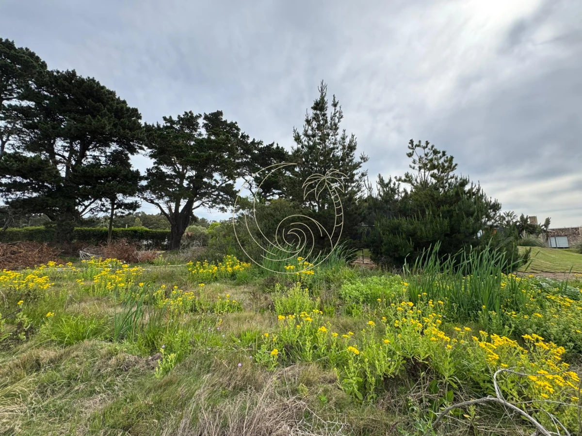 Terreno ID.21092732 - TERRENO DE 1500MTS EN SAN VICENTE