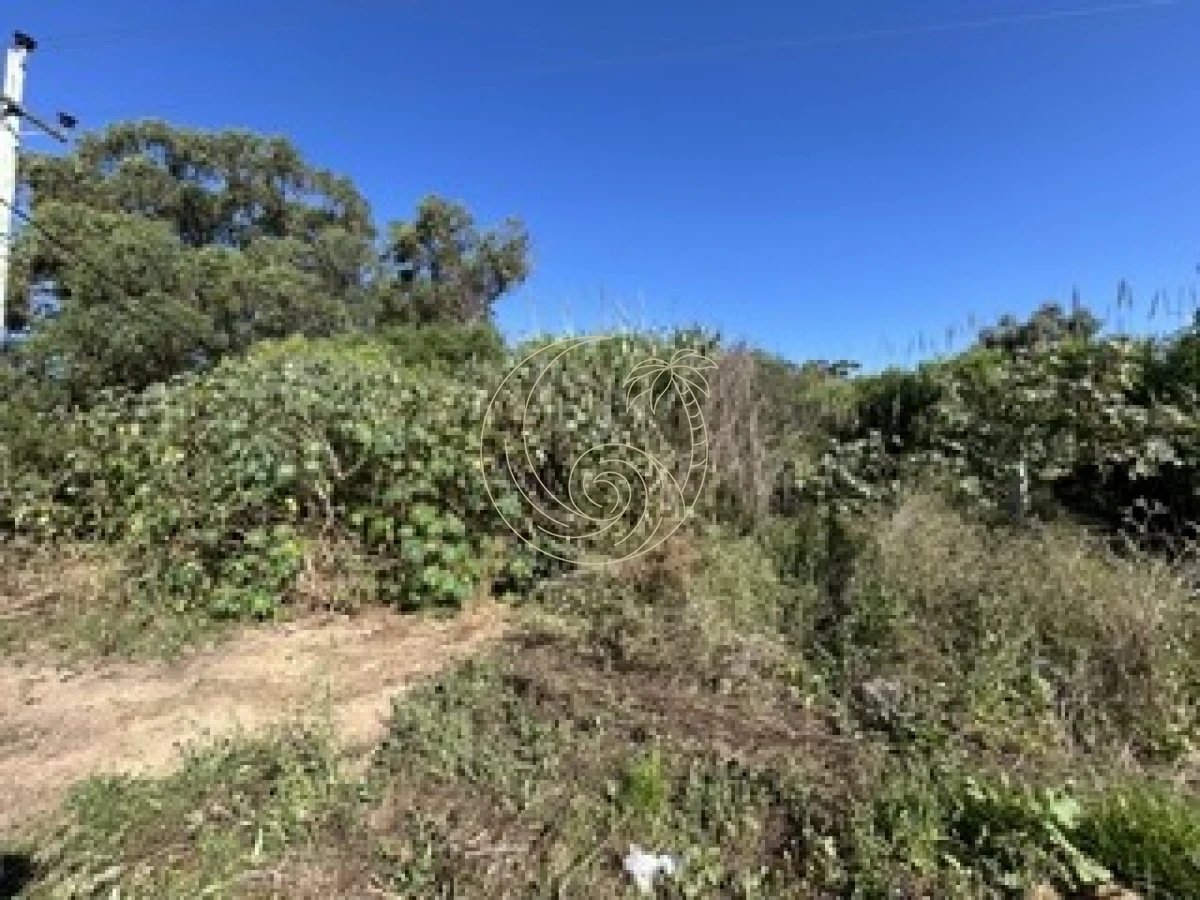 Terreno ID.21092790 - TERRENO EN VENTA, EL TESORO