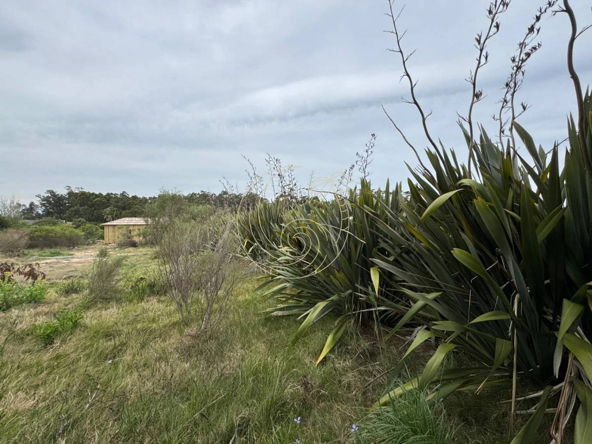 Terreno ID.21092732 - TERRENO DE 1500MTS EN SAN VICENTE