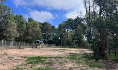 TERRENO NIVELADO EN BARRA VERDE