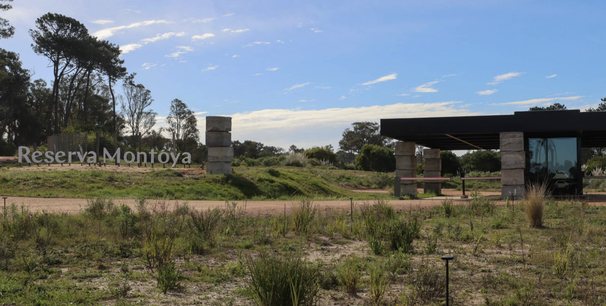 Reserva Montoya Lote 311