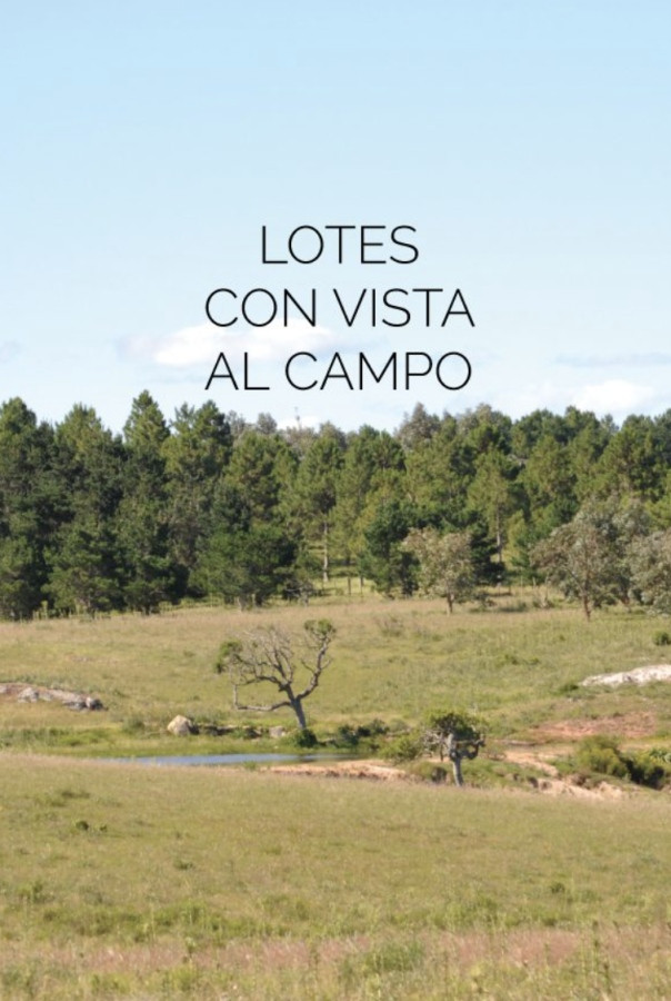 LOTES EN LAGUNA ESCONDIDA - JOSE IGNACIO