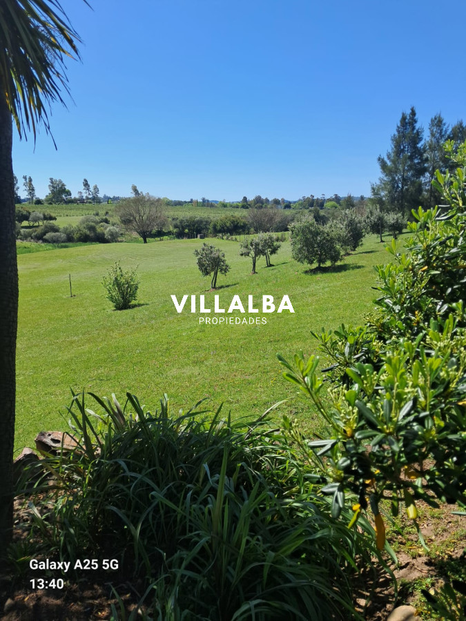 Chacra ID.3031 - 