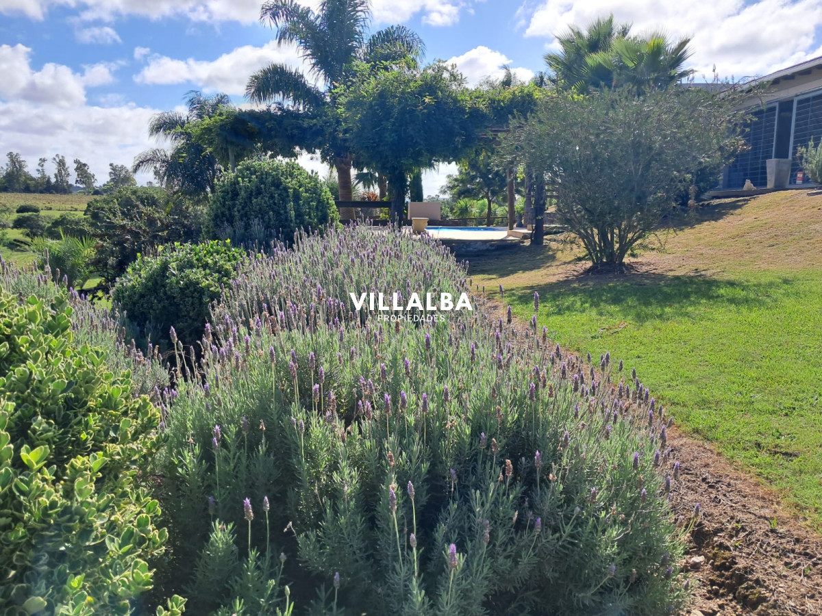 Chacra ID.3031 - 