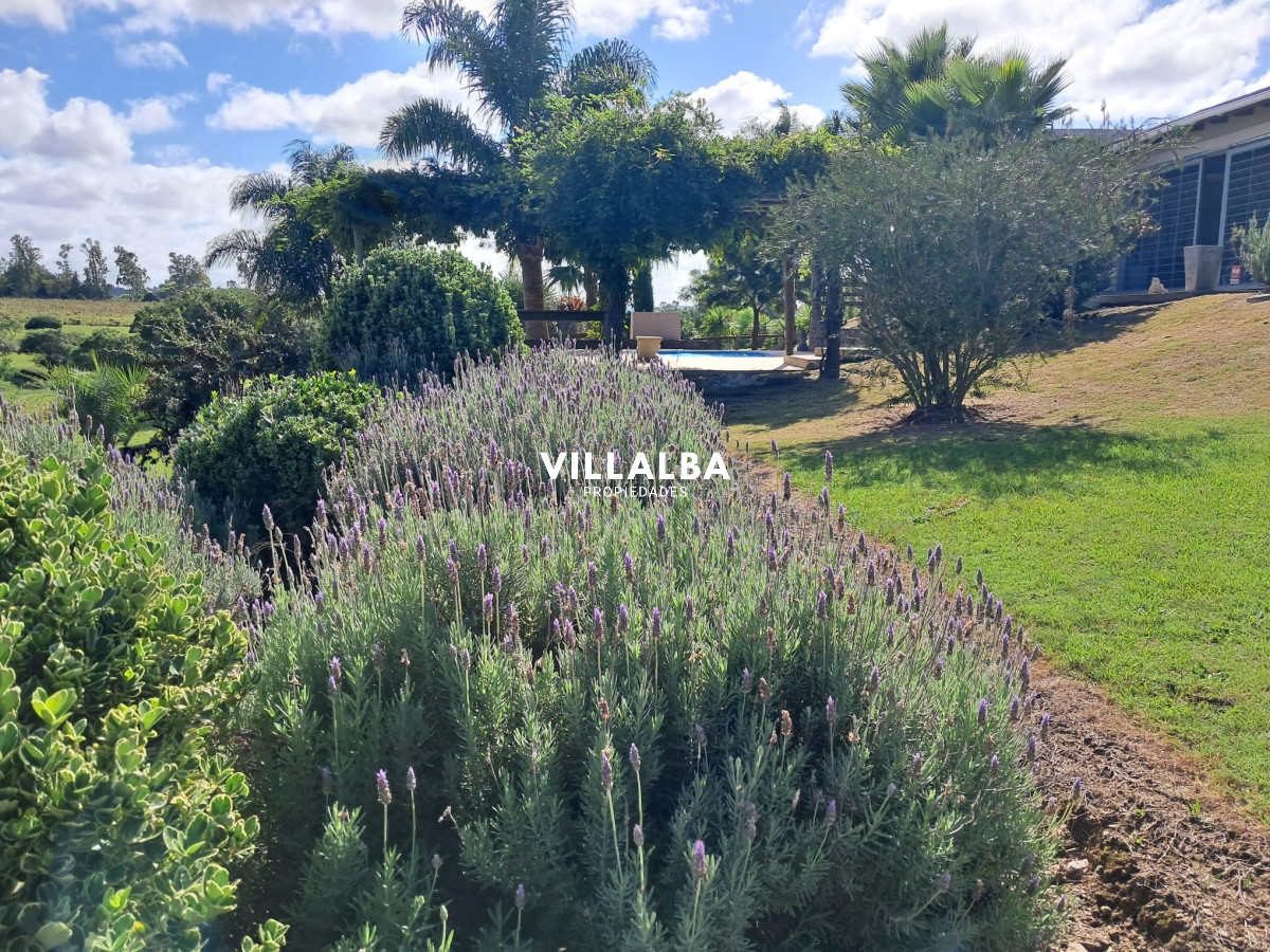 Chacra ID.3031 - 
