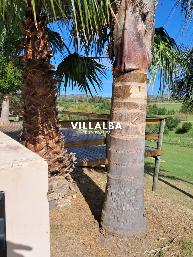 Chacra ID.3031 - 
