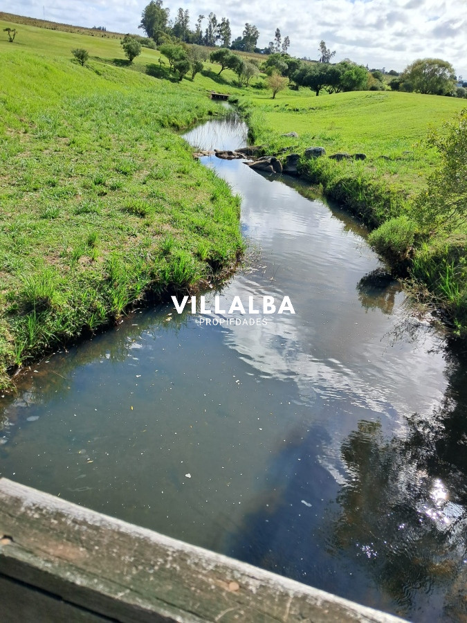 Chacra ID.3031 - 