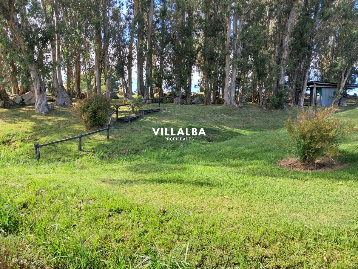 Chacra ID.3031 - 