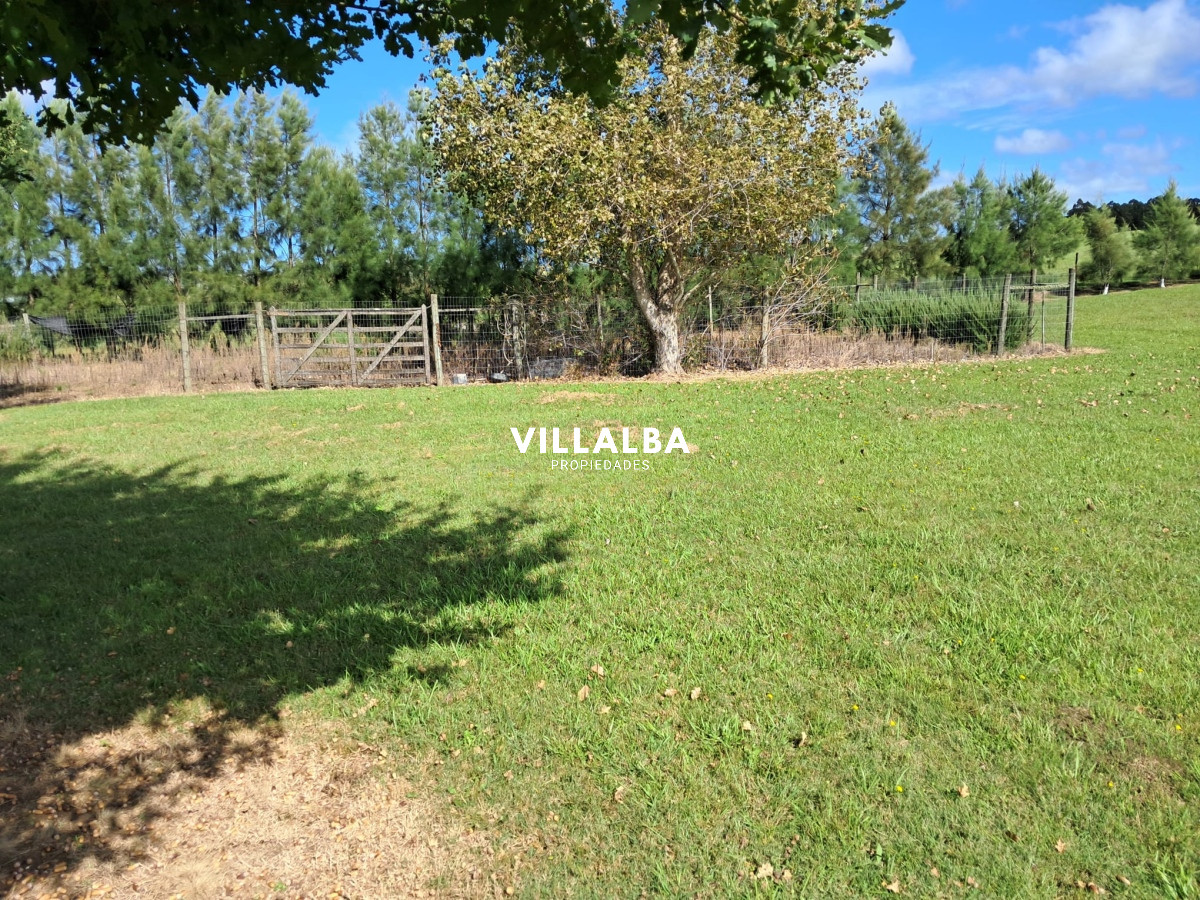 Chacra ID.3031 - 