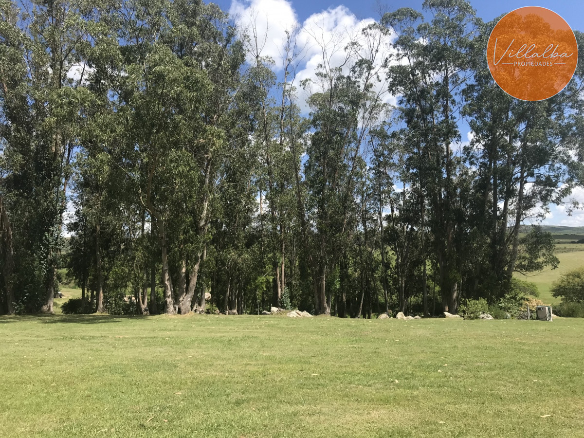 Chacra ID.3031 - 