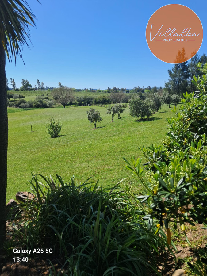 Chacra ID.3031 - 