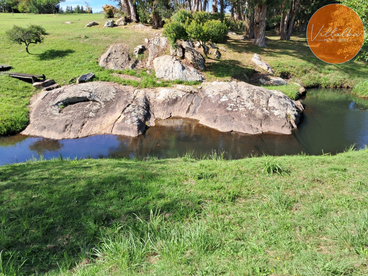 Chacra ID.3031 - 