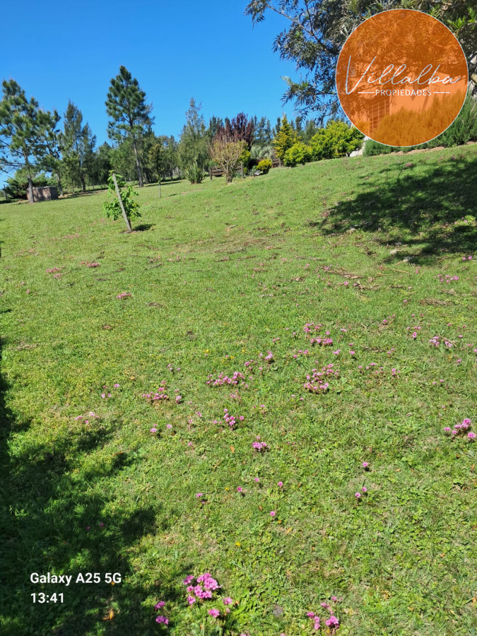 Chacra ID.3031 - 