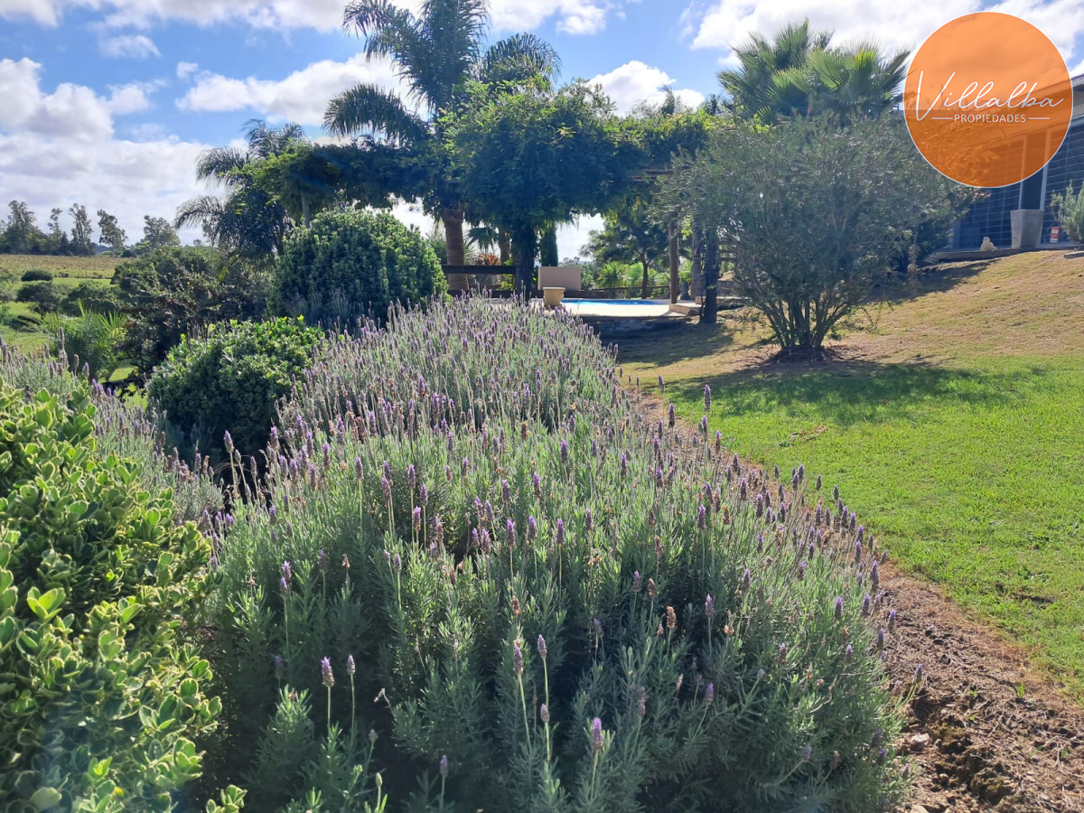 Chacra ID.3031 - 