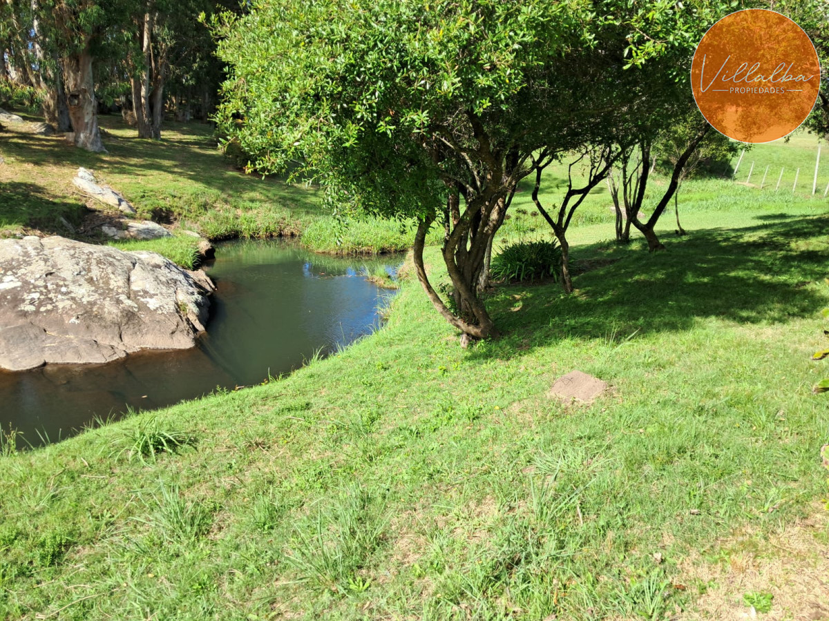 Chacra ID.3031 - 