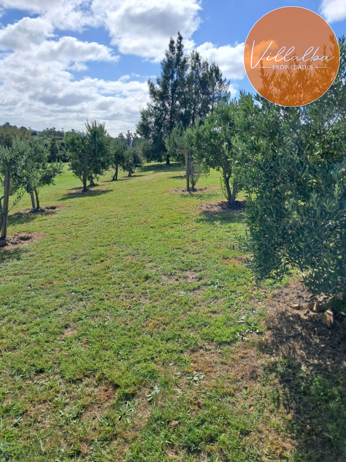 Chacra ID.3031 - 