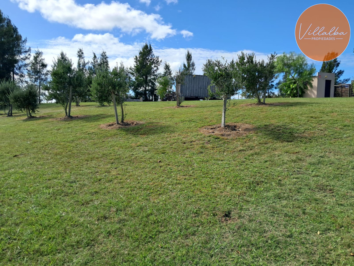 Chacra ID.3031 - 