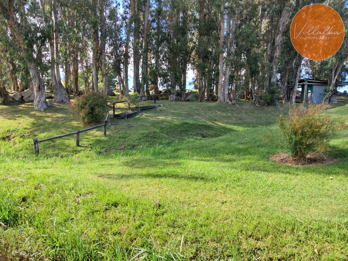 Chacra ID.3031 - 