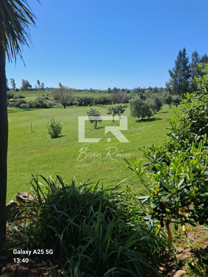 Chacra ID.459 - 