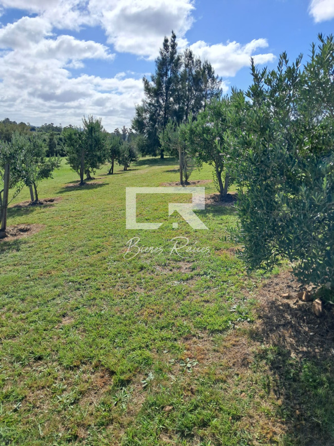 Chacra ID.459 - 