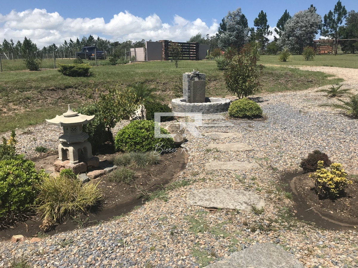 Chacra ID.459 - 