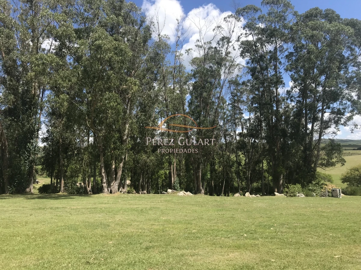 Chacra ID.131 - 