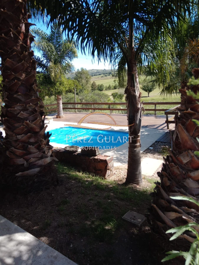 Chacra ID.131 - 