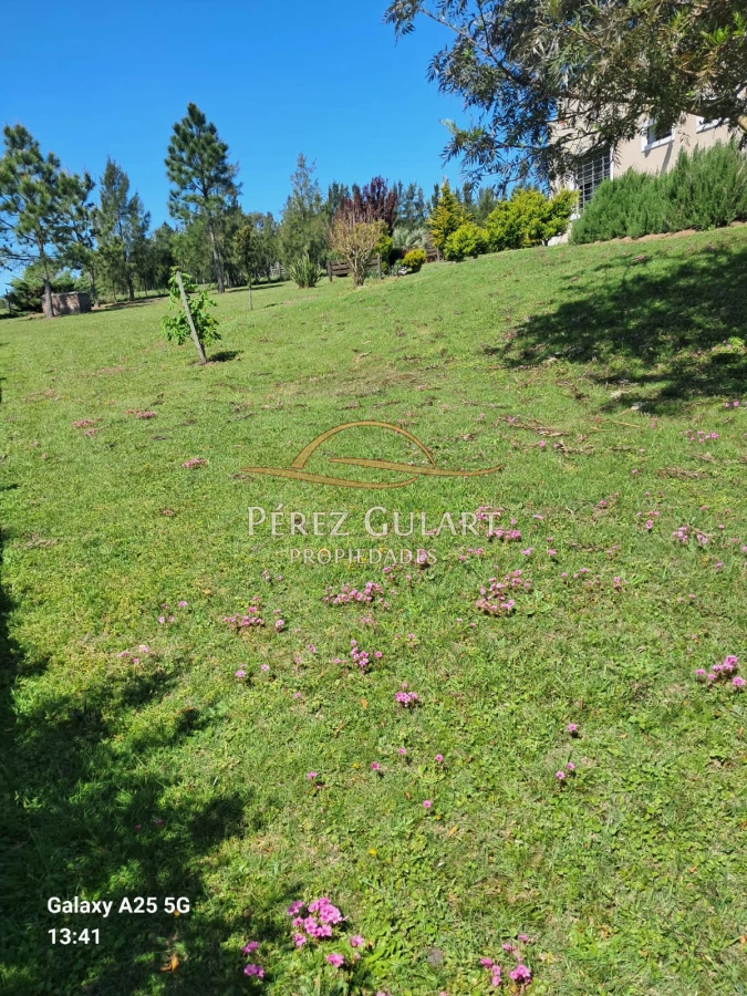 Chacra ID.131 - 