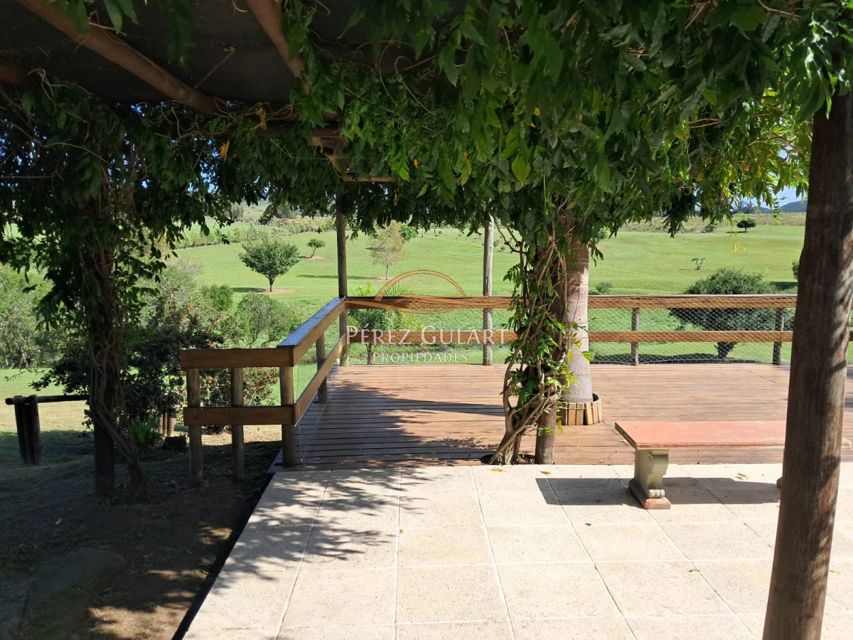 Chacra ID.131 - 