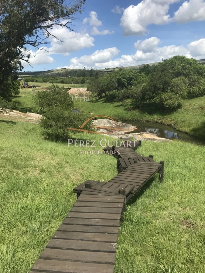 Chacra ID.131 - 