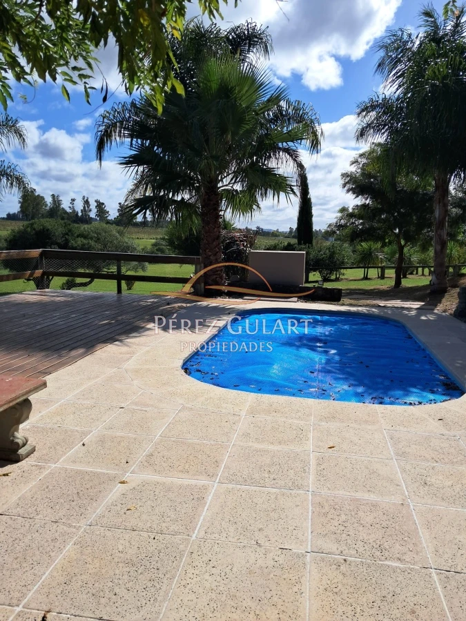 Chacra ID.131 - 
