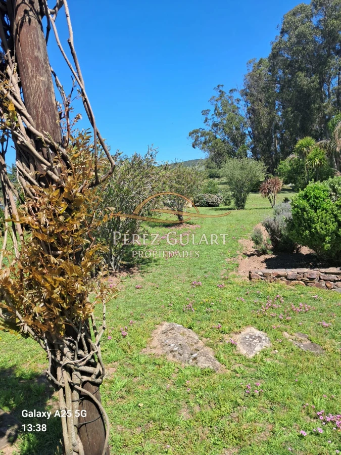 Chacra ID.131 - 