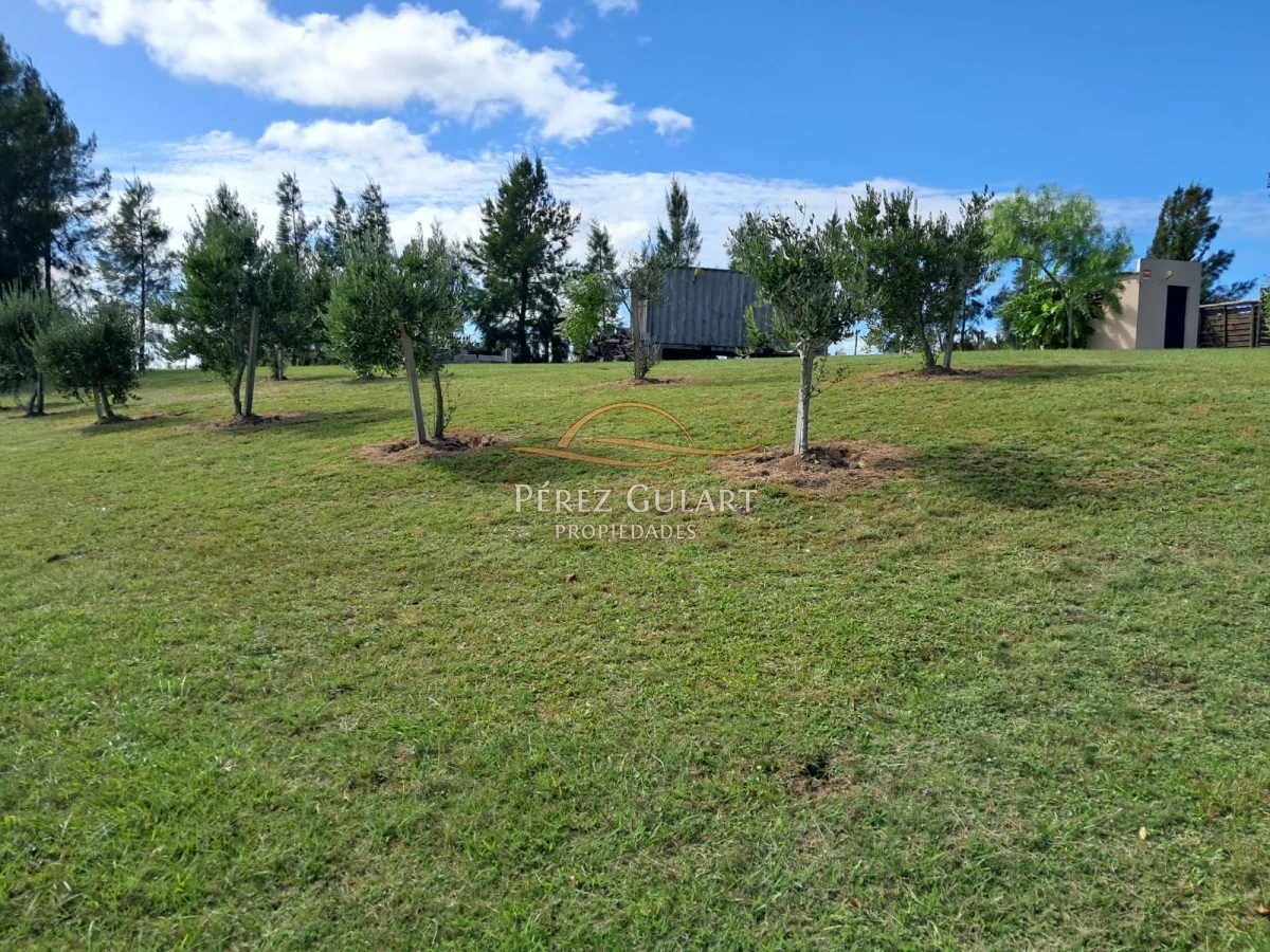 Chacra ID.131 - 