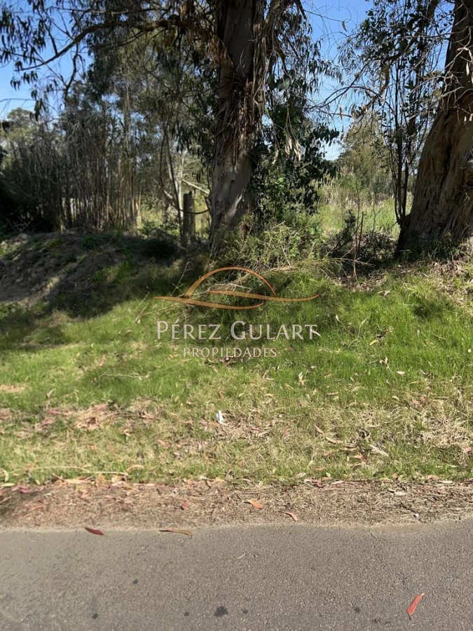 Terreno ID.94 - Terreno en Punta del Este, Golf