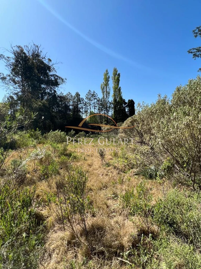 Terreno ID.94 - Terreno en Punta del Este, Golf