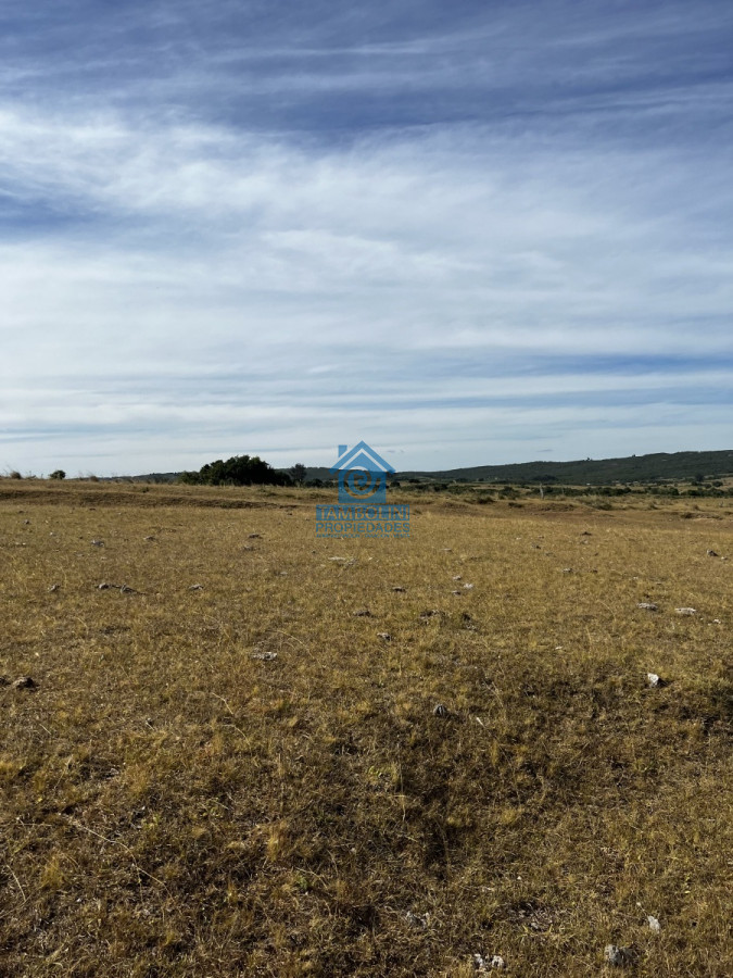 Chacra ID.93 - Chacra en Garzón a 5 kmts del Pueblo y a 30 kmts de José Ignacio