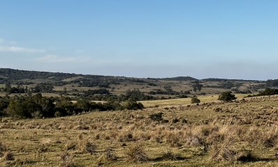 Chacra en Garzón a 5 kmts del Pueblo y a 30 kmts de José Ignacio