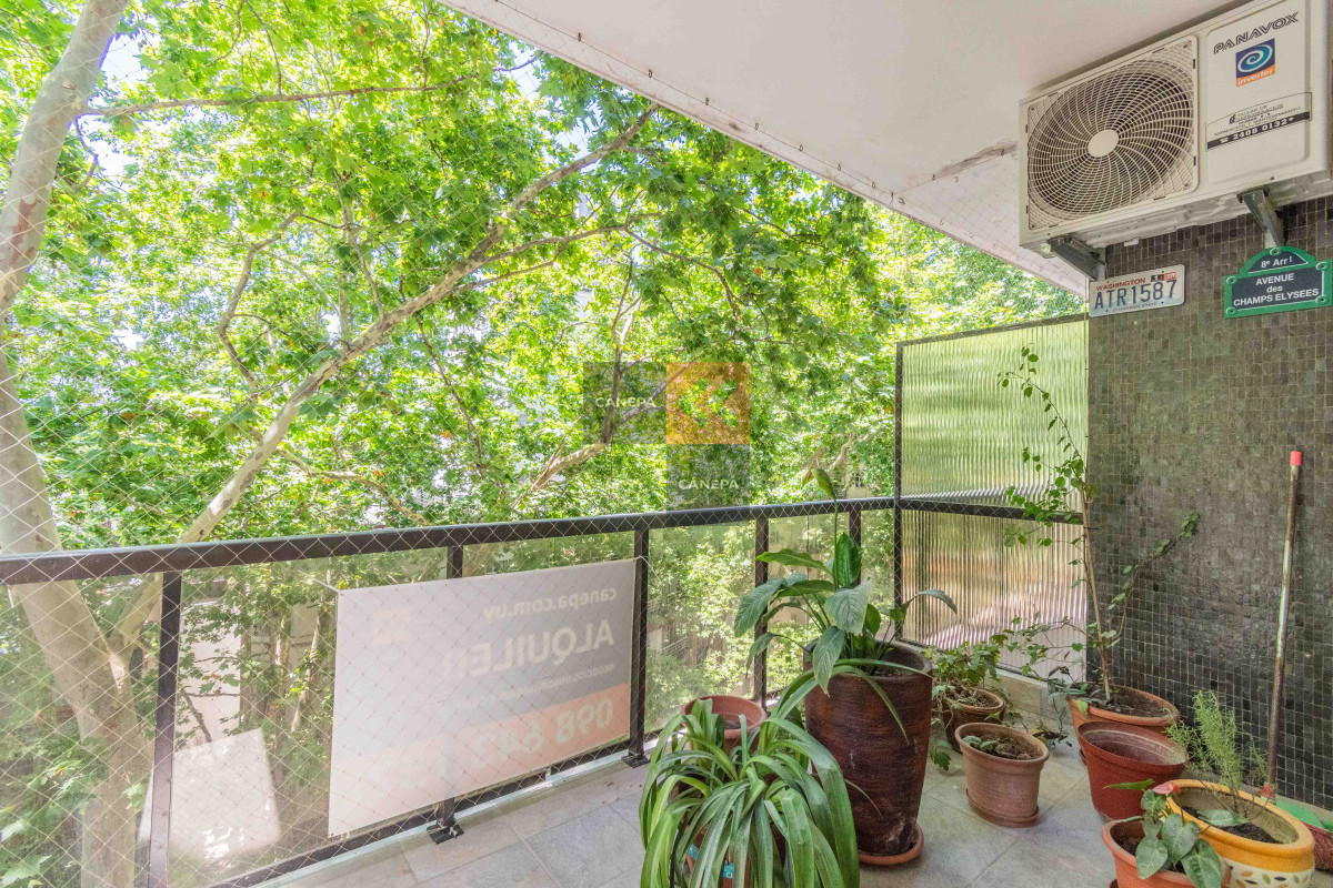 Pocitos - GoPunta - Portal Inmobiliario de Punta del Este - Maldonado