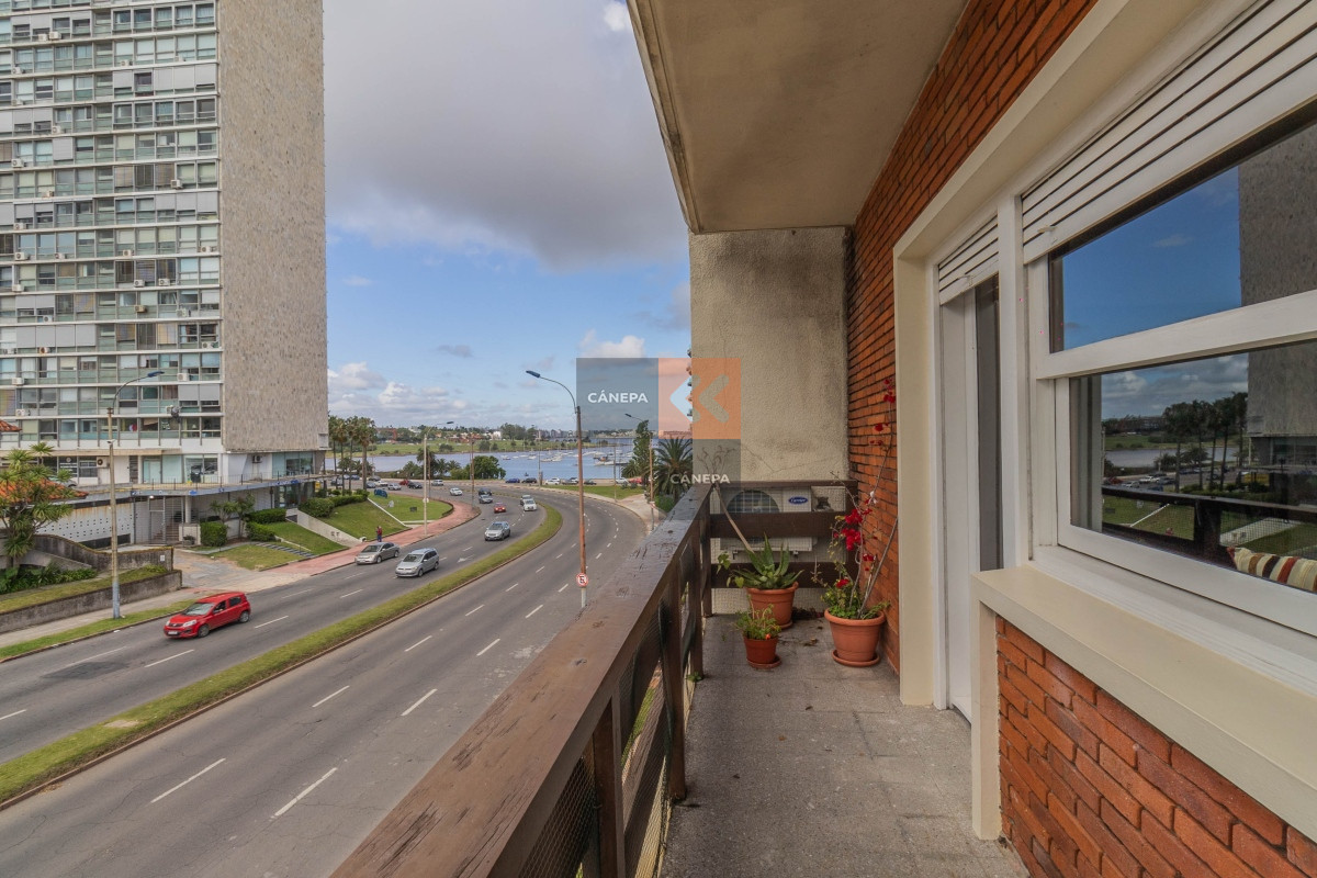 Buceo - GoPunta - Portal Inmobiliario de Punta del Este - Maldonado