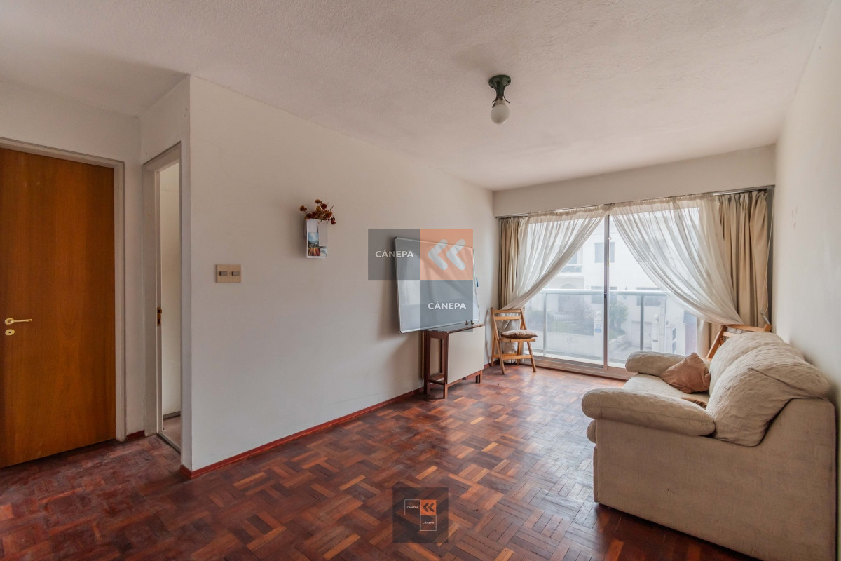 Punta Carretas - GoPunta - Portal Inmobiliario de Punta del Este - Maldonado