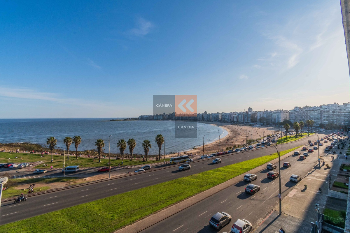 Pocitos Nuevo - GoPunta - Portal Inmobiliario de Punta del Este - Maldonado