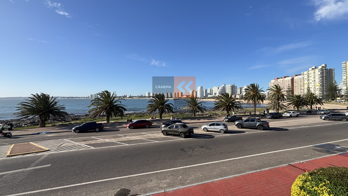 Península - GoPunta - Portal Inmobiliario de Punta del Este - Maldonado