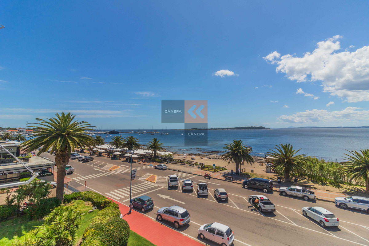 Península - GoPunta - Portal Inmobiliario de Punta del Este - Maldonado